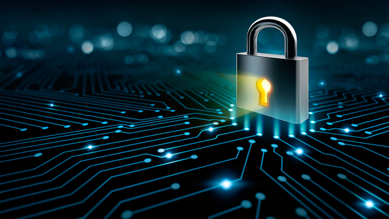 Securing Secrets: A Playbook for a Safer Digital Life