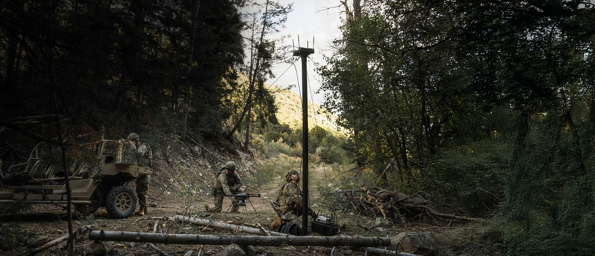 Umbraco.Cms.Core.Models.MediaWithCrops`1[Website.Models.Image]